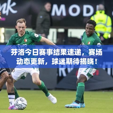 芬洛今日赛事结果速递,赛场动态更新,球迷期待揭晓!