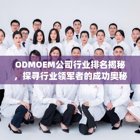ODMOEM公司行业排名揭秘，探寻行业领军者的成功奥秘