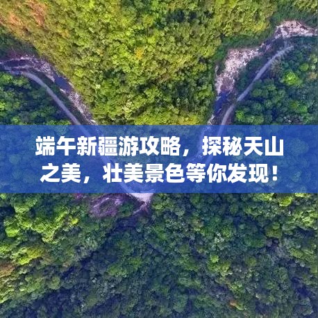 端午新疆游攻略，探秘天山之美，壮美景色等你发现！