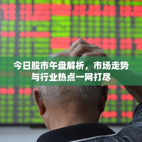 今日股市午盘解析，市场走势与行业热点一网打尽