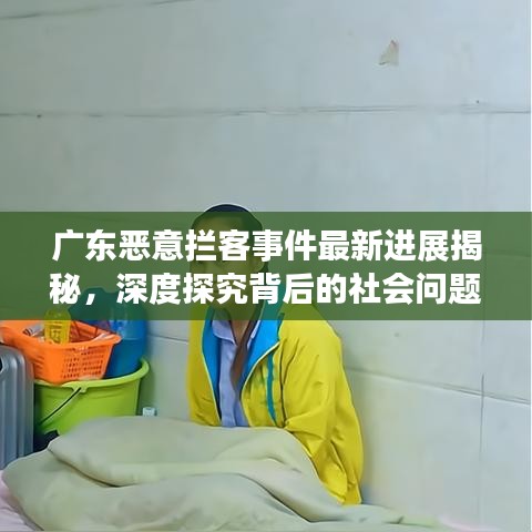 广东恶意拦客事件最新进展揭秘，深度探究背后的社会问题与反思