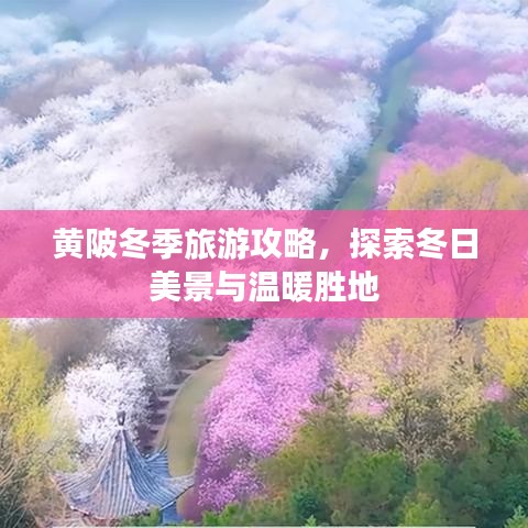 黄陂冬季旅游攻略，探索冬日美景与温暖胜地
