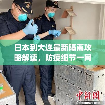 日本到大连最新隔离攻略解读，防疫细节一网打尽！