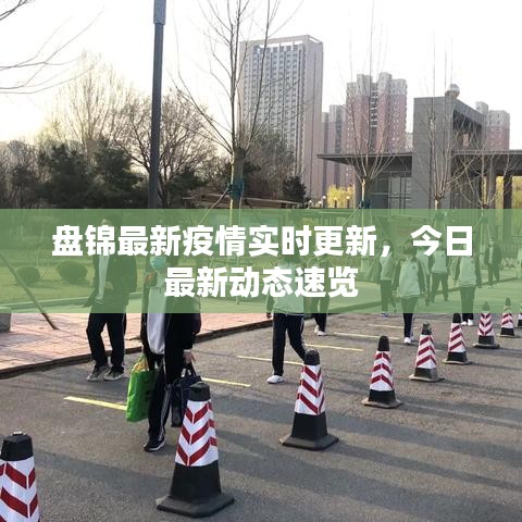 盘锦最新疫情实时更新，今日最新动态速览