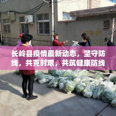 长岭县疫情最新动态，坚守防线，共克时艰，共筑健康防线