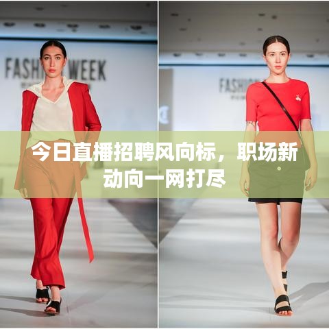 今日直播招聘风向标，职场新动向一网打尽
