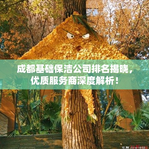 成都基础保洁公司排名揭晓，优质服务商深度解析！
