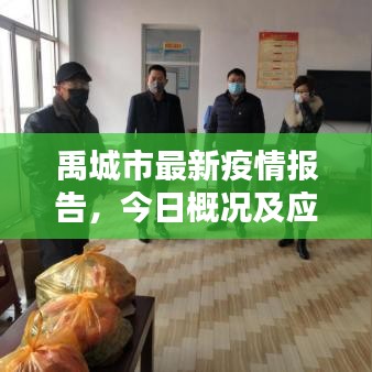 禹城市最新疫情报告，今日概况及应对策略揭秘