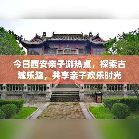 今日西安亲子游热点，探索古城乐趣，共享亲子欢乐时光