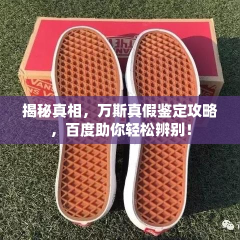 揭秘真相，万斯真假鉴定攻略，百度助你轻松辨别！