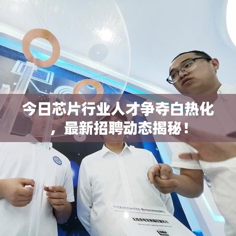 今日芯片行业人才争夺白热化，最新招聘动态揭秘！