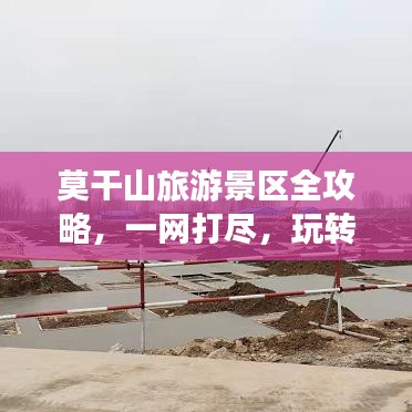 莫干山旅游景区全攻略,一网打尽,玩转山水之间!