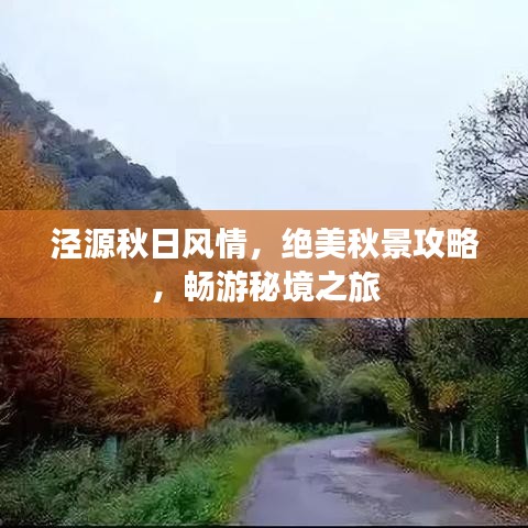 泾源秋日风情，绝美秋景攻略，畅游秘境之旅
