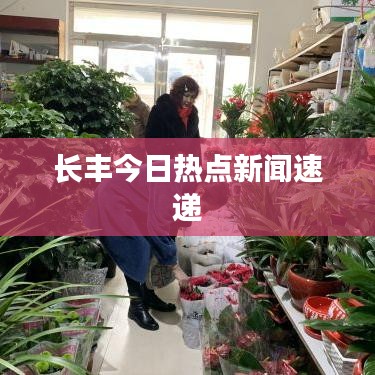 长丰今日热点新闻速递