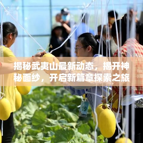 揭秘武夷山最新动态，揭开神秘面纱，开启新篇章探索之旅