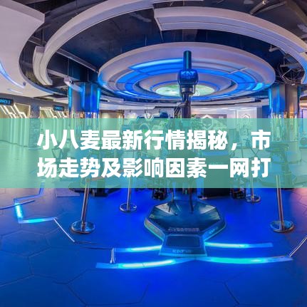 小八麦最新行情揭秘，市场走势及影响因素一网打尽！