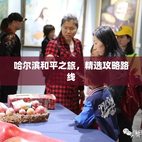 哈尔滨和平之旅，精选攻略路线