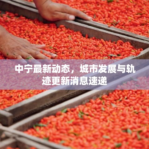 中宁最新动态，城市发展与轨迹更新消息速递