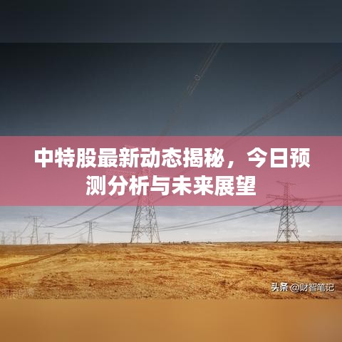 中特股最新动态揭秘,今日预测分析与未来展望