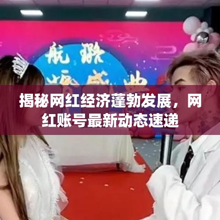 揭秘网红经济蓬勃发展，网红账号最新动态速递