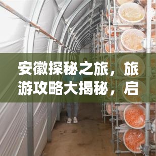 安徽探秘之旅，旅游攻略大揭秘，启程发现神秘之地！