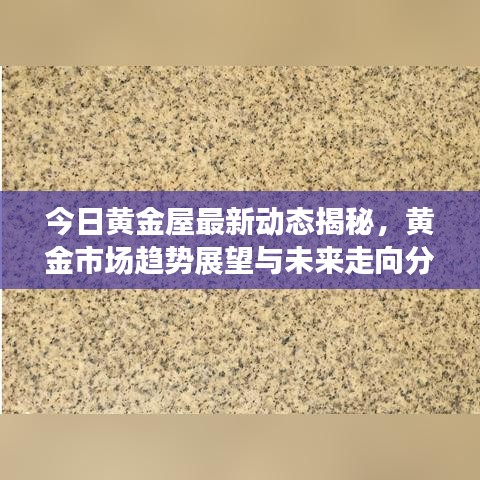 今日黄金屋最新动态揭秘，黄金市场趋势展望与未来走向分析