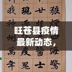 旺苍县疫情最新动态，坚守防线，共克时艰抗击疫情