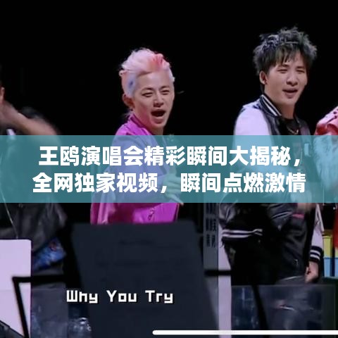 王鸥演唱会精彩瞬间大揭秘，全网独家视频，瞬间点燃激情！