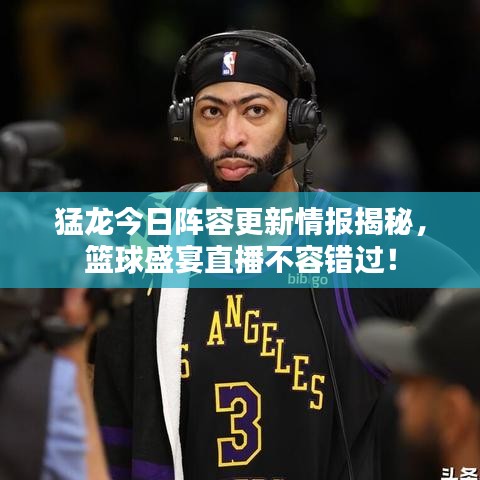 猛龙今日阵容更新情报揭秘，篮球盛宴直播不容错过！