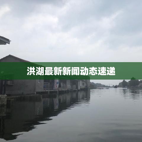 洪湖最新新闻动态速递