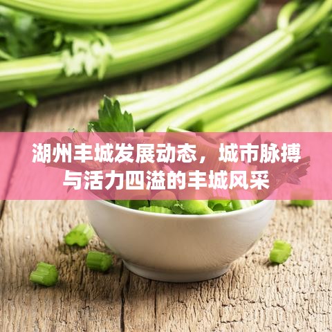 湖州丰城发展动态，城市脉搏与活力四溢的丰城风采