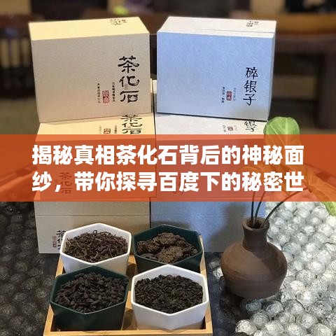 揭秘真相茶化石背后的神秘面纱，带你探寻百度下的秘密世界！