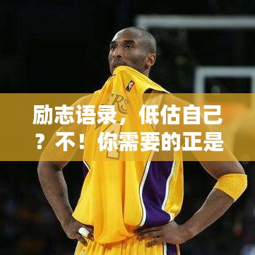 励志语录，低估自己？不！你需要的正是自我鼓舞的力量！