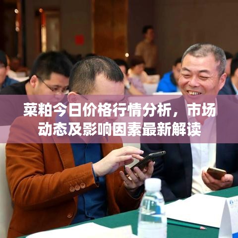 菜粕今日价格行情分析，市场动态及影响因素最新解读