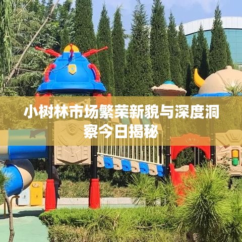 小树林市场繁荣新貌与深度洞察今日揭秘