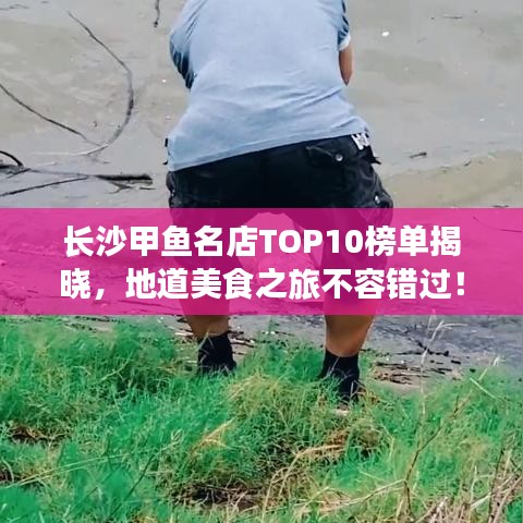 长沙甲鱼名店TOP10榜单揭晓，地道美食之旅不容错过！