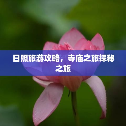 日照旅游攻略，寺庙之旅探秘之旅