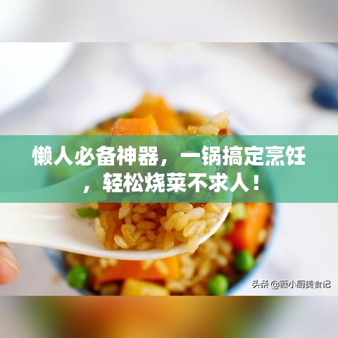 懒人必备神器，一锅搞定烹饪，轻松烧菜不求人！