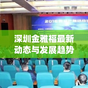 深圳金雅福最新动态与发展趋势揭秘，独家视频消息速递
