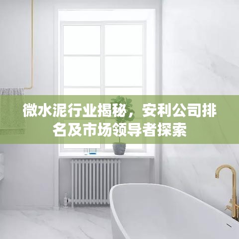 微水泥行业揭秘，安利公司排名及市场领导者探索