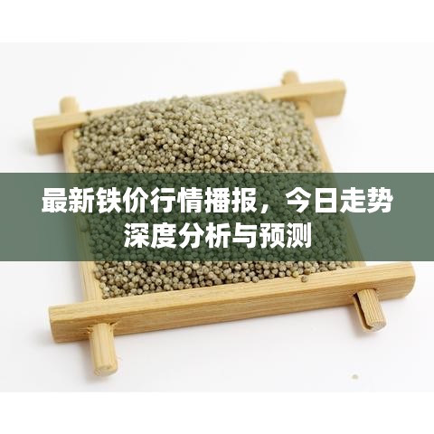 最新铁价行情播报，今日走势深度分析与预测