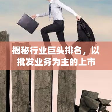 揭秘行业巨头排名，以批发业务为主的上市公司趋势洞察