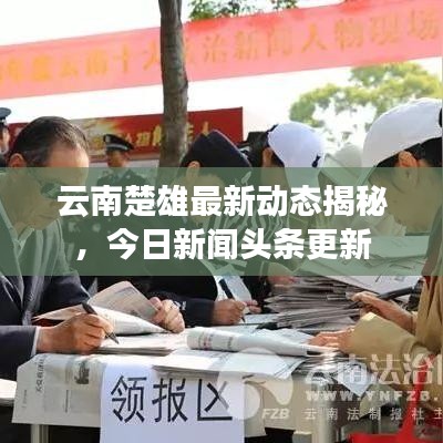 云南楚雄最新动态揭秘，今日新闻头条更新