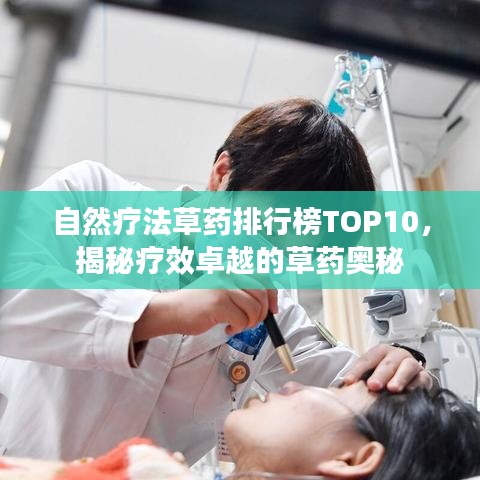 自然疗法草药排行榜TOP10，揭秘疗效卓越的草药奥秘