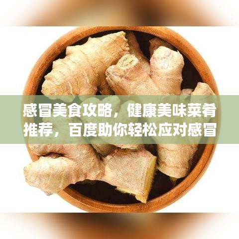 感冒美食攻略，健康美味菜肴推荐，百度助你轻松应对感冒饮食选择