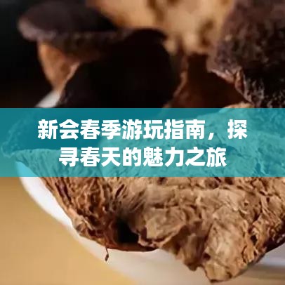 新会春季游玩指南，探寻春天的魅力之旅