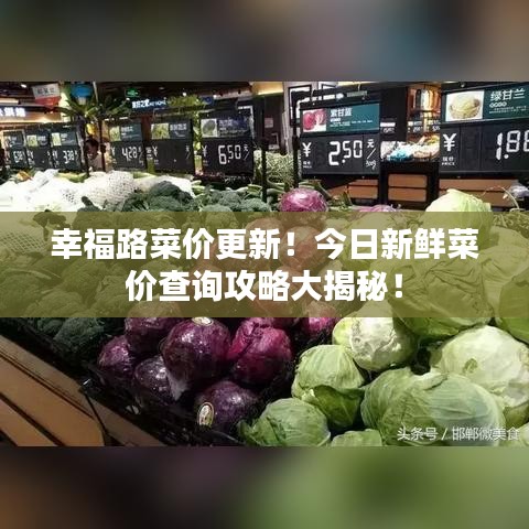 幸福路菜价更新！今日新鲜菜价查询攻略大揭秘！