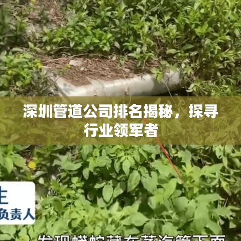 深圳管道公司排名揭秘，探寻行业领军者