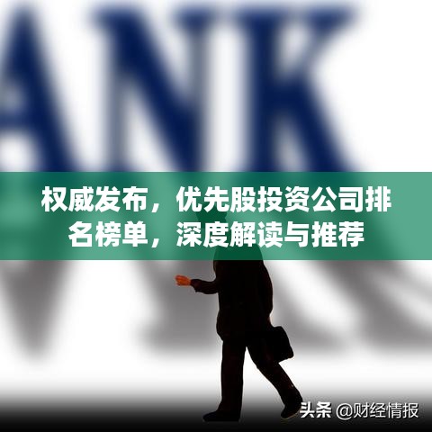 权威发布，优先股投资公司排名榜单，深度解读与推荐
