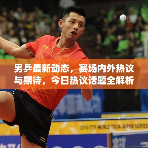 男乒最新动态,赛场内外热议与期待,今日热议话题全解析!